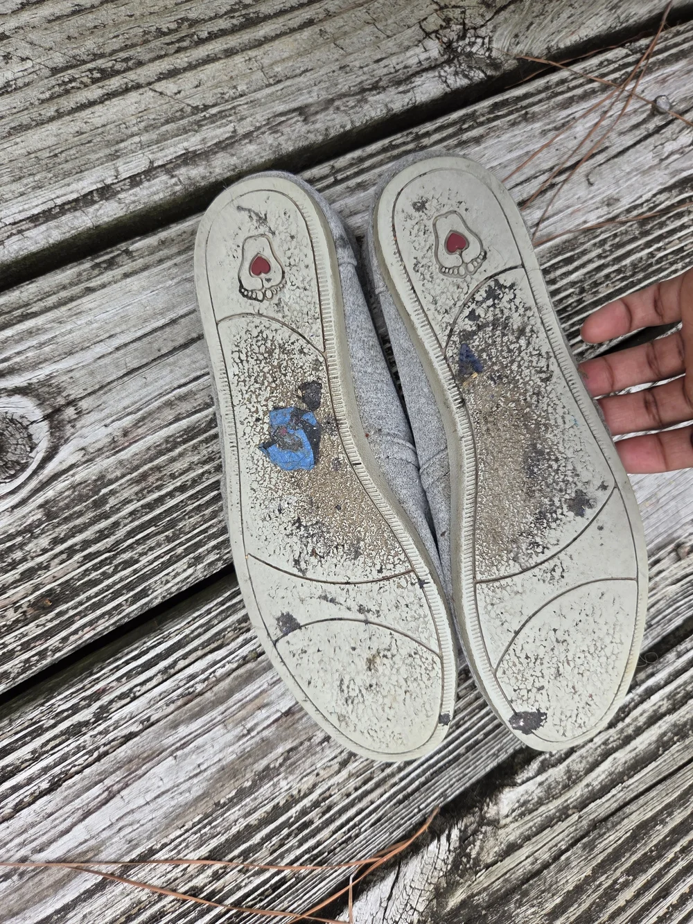 Bobs Gray Slip-On Women’s Casual Shoes